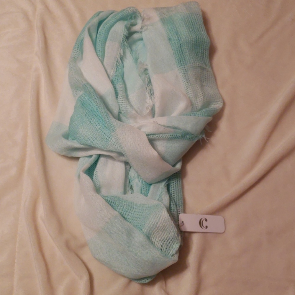 Charming Charlies Scarf